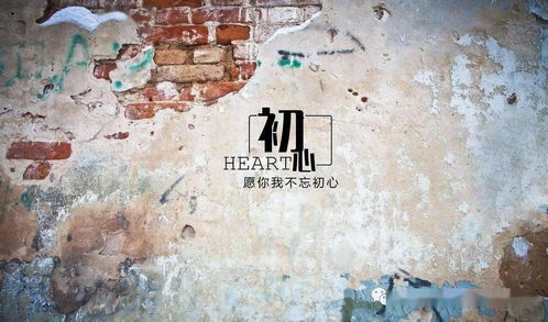 寶坻四中校園原創(chuàng)文藝作品征集令